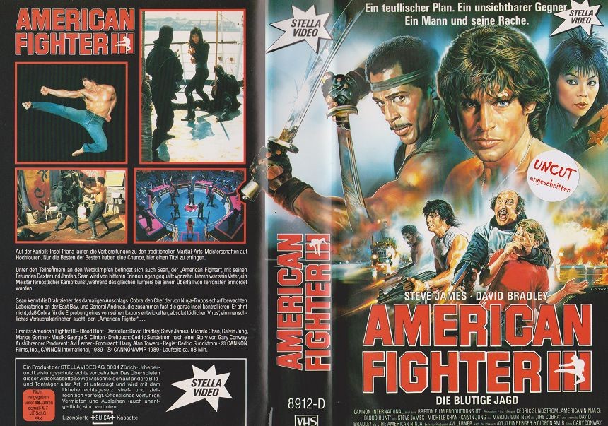 American Fighter 3 - Die blutige Jagd (Stella)